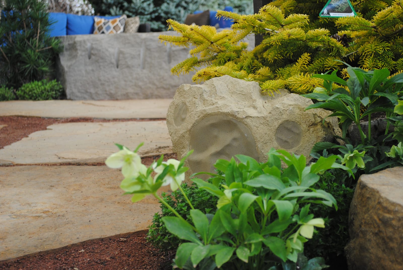 Sandstone rock-shaped landscape speaker concealed among yellow conifer and azalea plantings